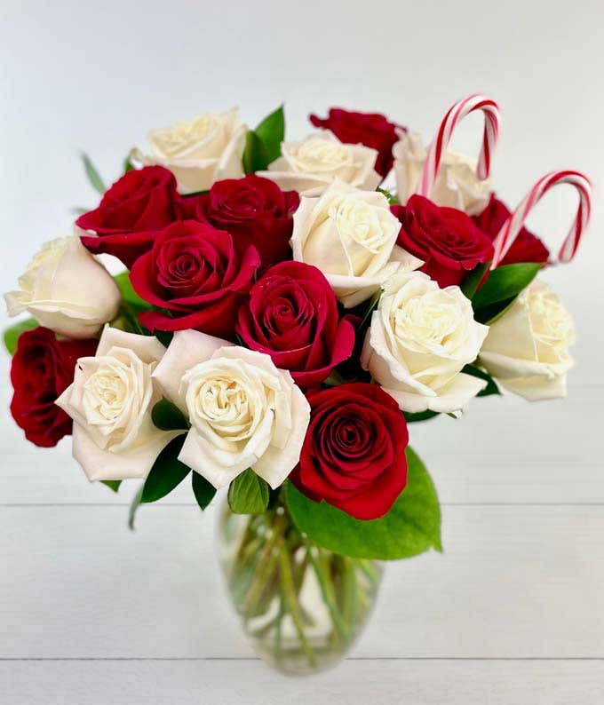 One and a Half Dozen Red & White Candy Cane Roses with Clear Glass Vase