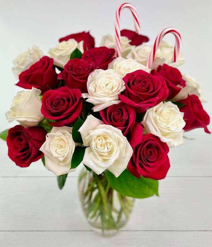 Two Dozen Red & White Candy Cane Roses with Vase