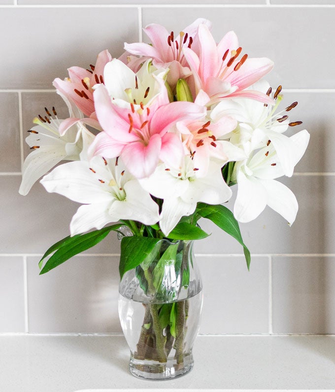 Stunning Pink & White Lilies at From You Flowers