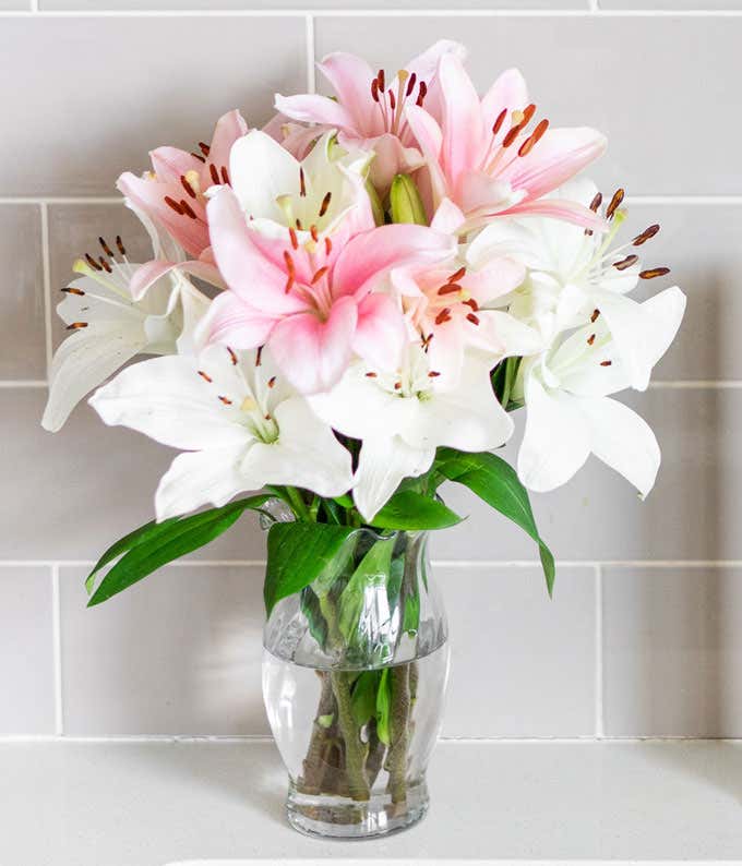 Stunning Pink & White Lilies