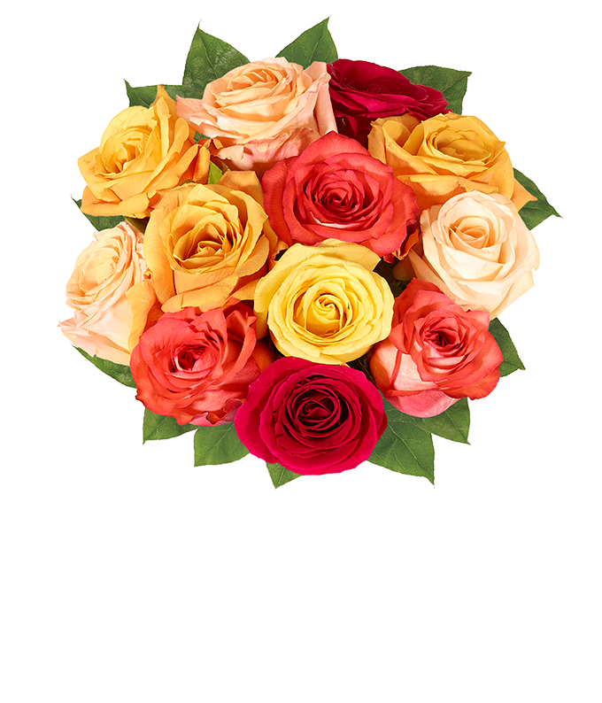 One Dozen Bootiful Halloween Roses at From You Flowers