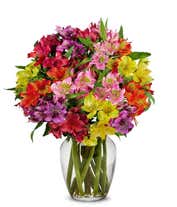 A bouquet of 15 stems of alstroemeria in assorted colors, with an optional vase.