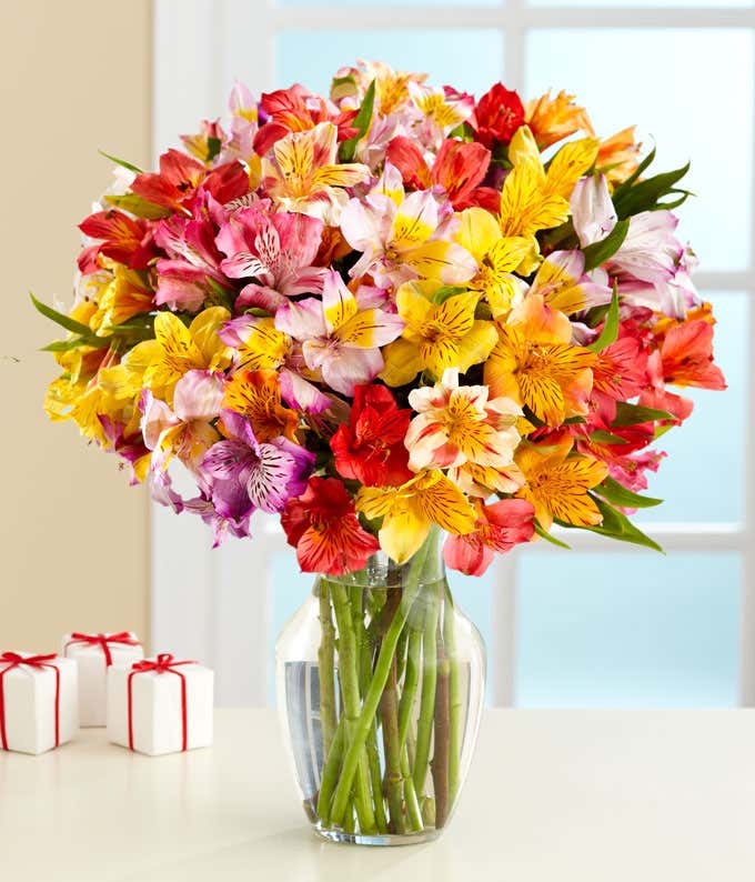 A bright mix of red, orange, yellow, pink, and purple open alstroemeria blooms with darker speckles on the inside. Emerging from a clear glass vase on a tan countertop.