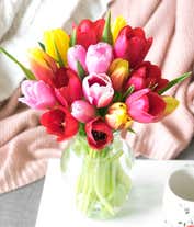 Alternative image 4 for A delightful arrangement of seasonal tulips in a variety of colors, offering a fresh and vibrant display. These beautiful tulips bring a burst of color and cheer to any setting.