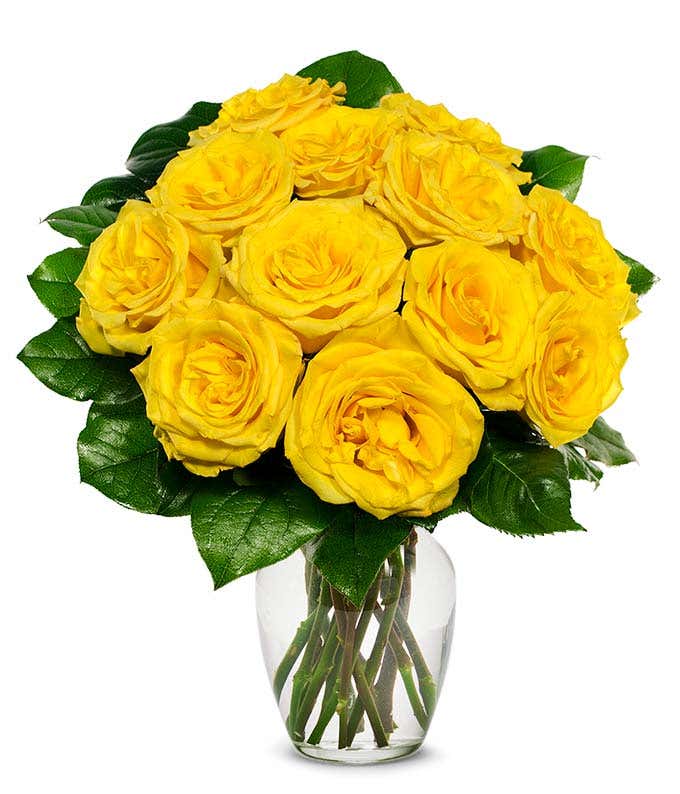 one dozen yellow roses for delivery 