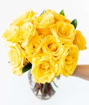 Alternative image 2 for one dozen yellow roses for delivery 