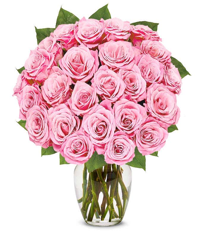 Two dozen long stem pink roses