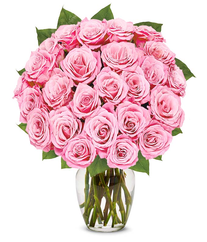 Exclusive Pink Rose Arrangement 24 Stems at From You Flowers