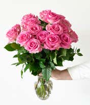 Alternative image 2 for Two dozen long stem pink roses