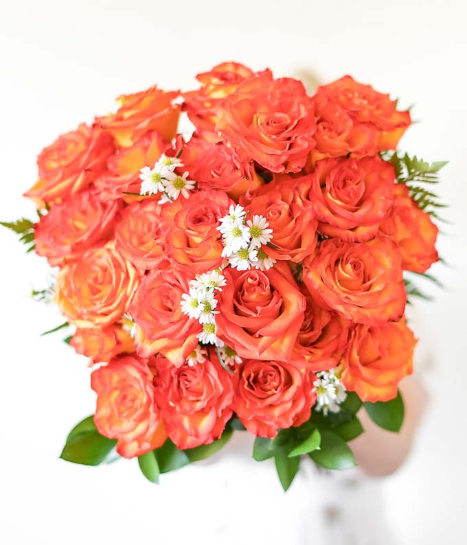 Two Dozen Orange Roses at From You Flowers