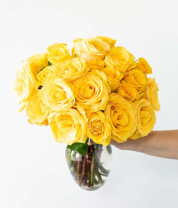99 Yellow Roses Two Dozen Yellow Roses at From You Flowers
