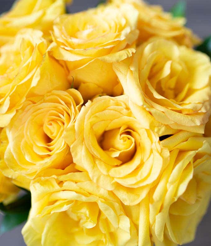 99 Yellow Roses Two Dozen Yellow Roses at From You Flowers