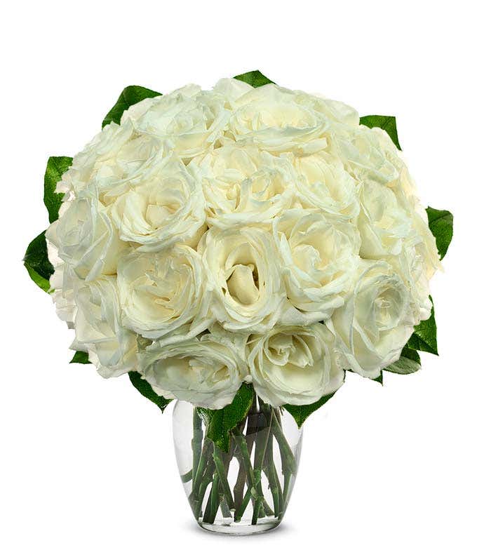 Two dozen white roses