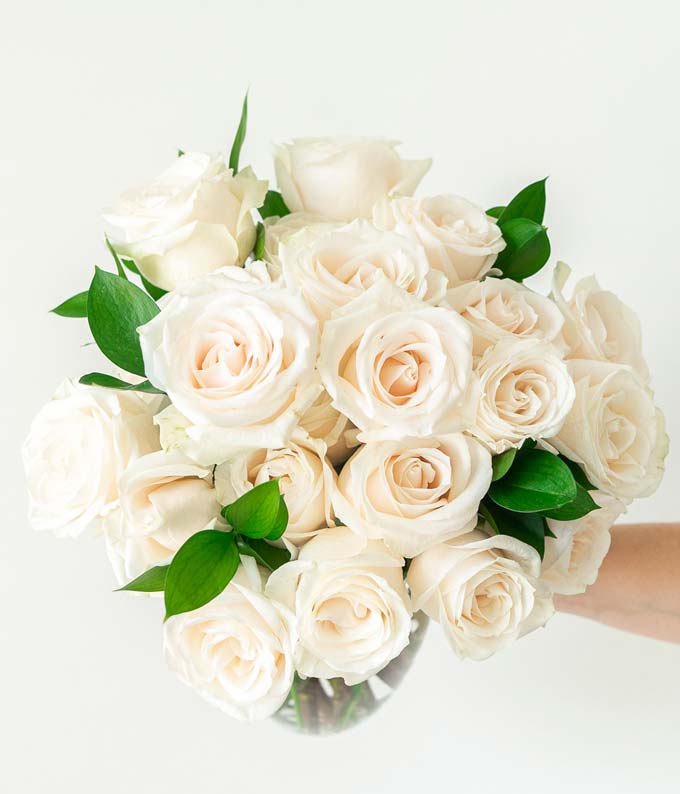 Two Dozen White Roses at From You Flowers