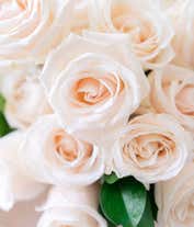 Alternative image 3 for Two dozen white roses