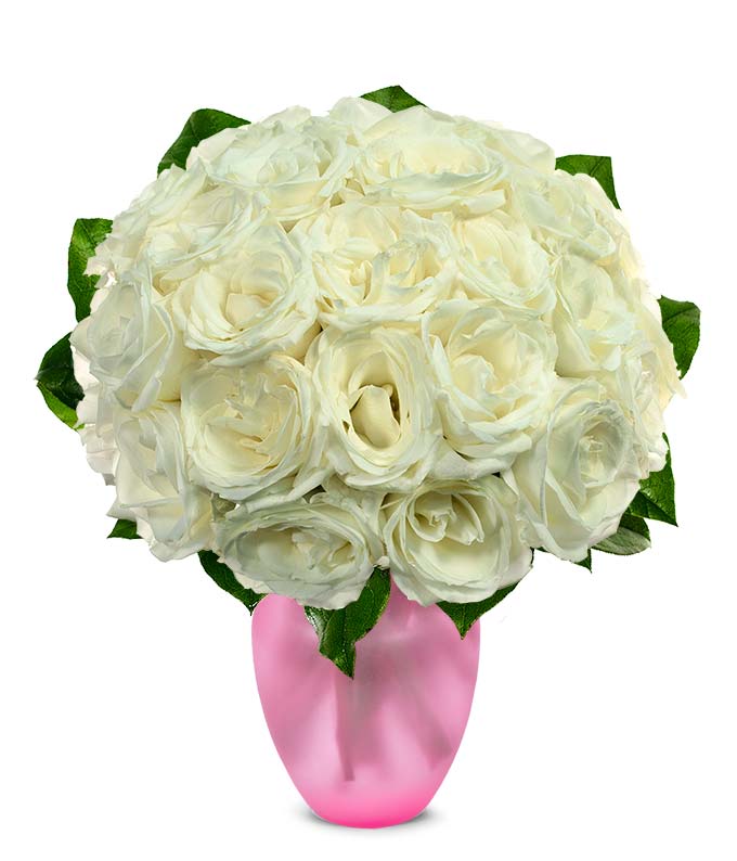 Two Dozen White Roses at From You Flowers