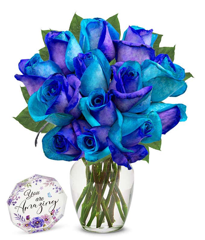 one dozen roses dyed half bright half dark blue in a clear glass vase next to a nonagon clear acrylic keepsake reading 'you're amazing' with purple flowers.