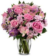 Lavender Love - Premium