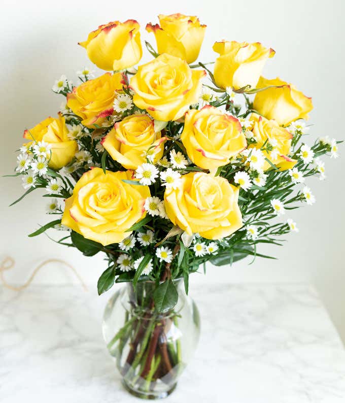 One Dozen Fiery Yellow with Red Tip Roses in a Clear Glass Vase at From You  Flowers