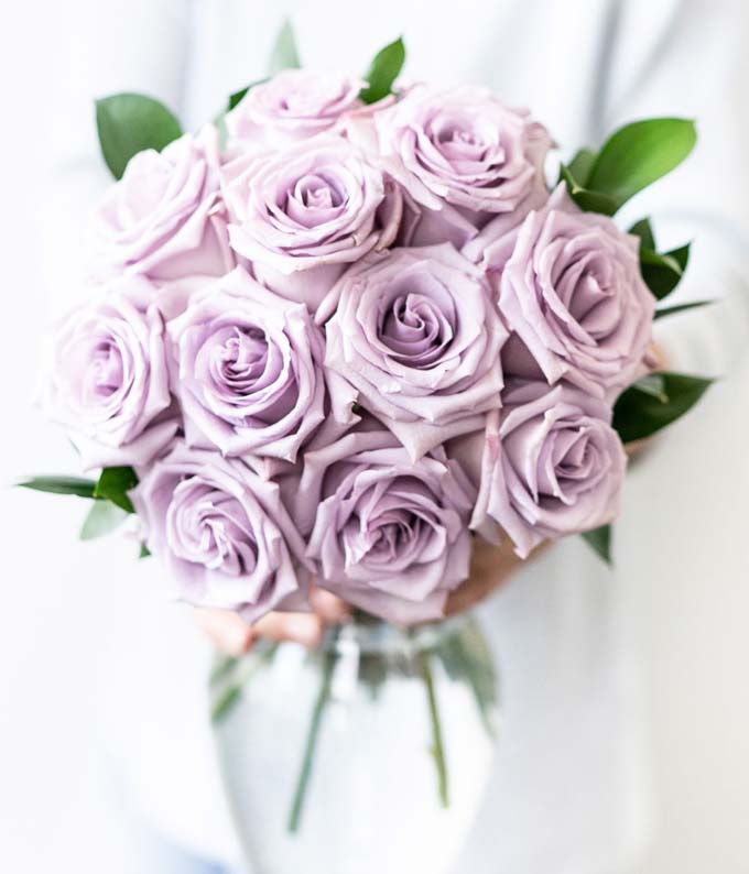 One Dozen Purple Roses at From You Flowers