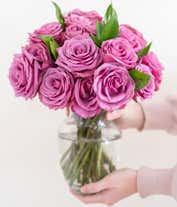 Alternative image 1 for Two Dozen Purple Roses Delivered