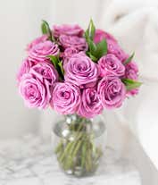 Alternative image 2 for Two Dozen Purple Roses Delivered