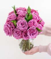 Alternative image 3 for Two Dozen Purple Roses Delivered