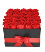 Premium Preserved Red Roses 