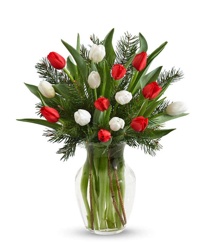 Christmas tulips for delivery in a red vase. 