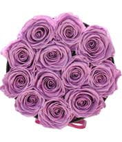 Alternative image 1 for One dozen light purple preserved roses arranged into a black hat box with a purple ribbon.