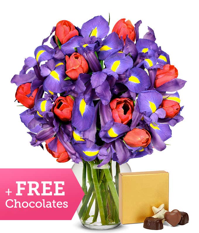 Dazzling Tulip & Iris Bouquet with FREE CHOCOLATES