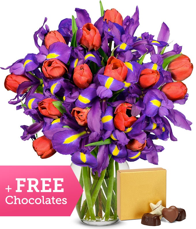 Dazzling Tulip & Iris Bouquet with FREE CHOCOLATES Premium at From