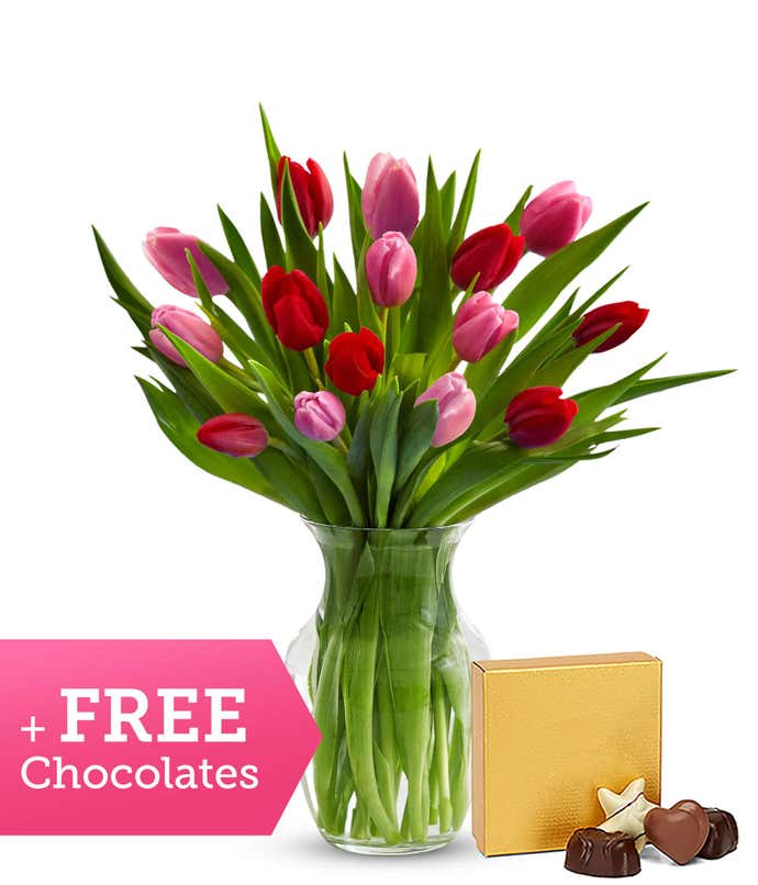 Red & Pink Tulips with FREE Chocolates