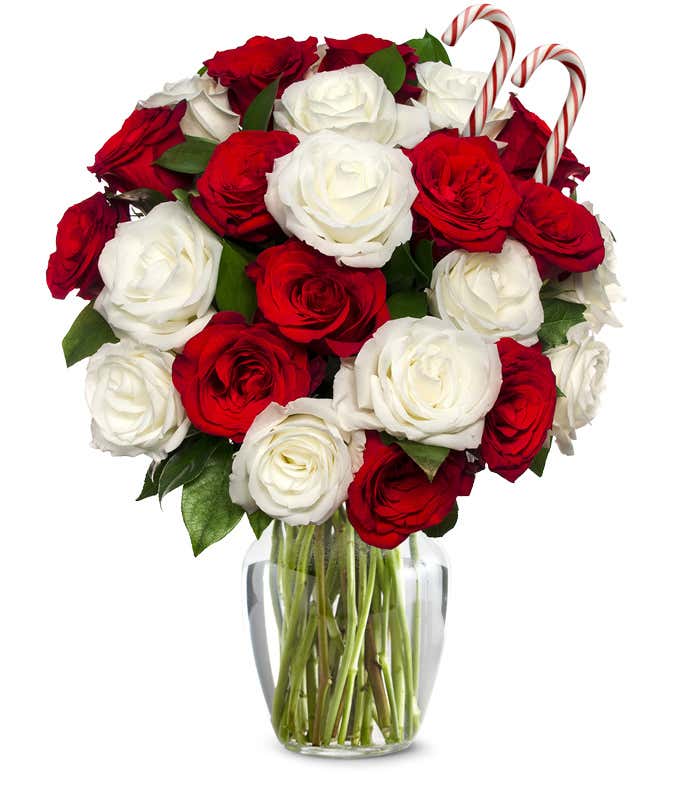 A large, full arrangement of red and white roses in a clear glass vase, topped with two candy canes nestled among the blooms and surrounded by green leaves.
