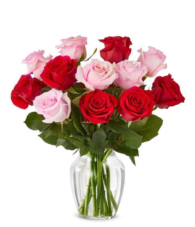 A Dozen Red & Pink Roses at From You Flowers