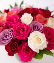 Alternative image 4 for two dozen pastel roses