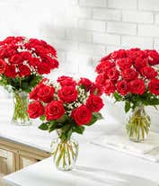 Alternative image 1 for Two dozen red roses with one dozen chocolate covered strawberries.