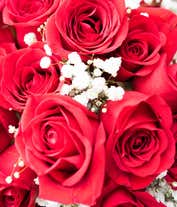 Alternative image 3 for Two dozen red roses with one dozen chocolate covered strawberries.