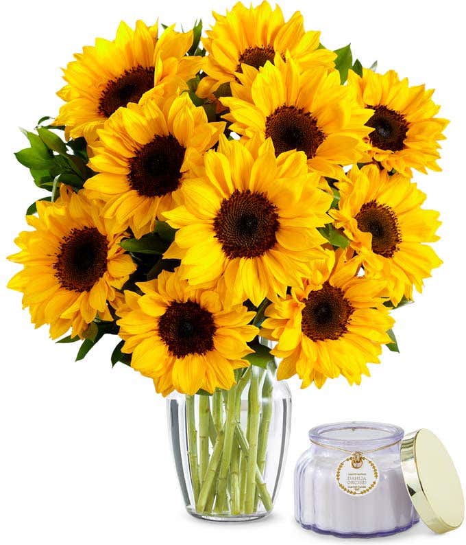 Bright yellow sunflowers with greens in a clear glass vase. Sat next to a small purple candle in a glass jar. 