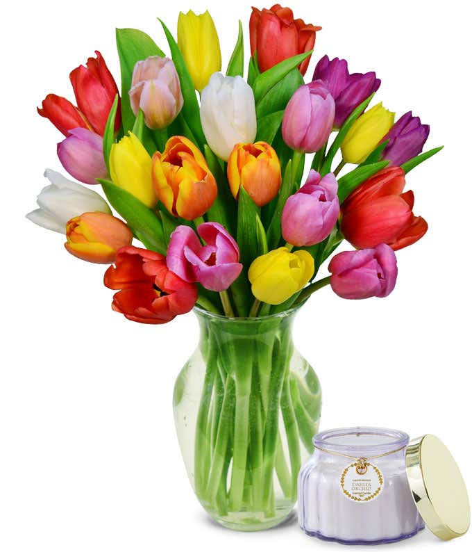 20 stems of tulips in red, orange, yellow and purple in a glass vase sitting next to a small purple candle in a glass jar. 