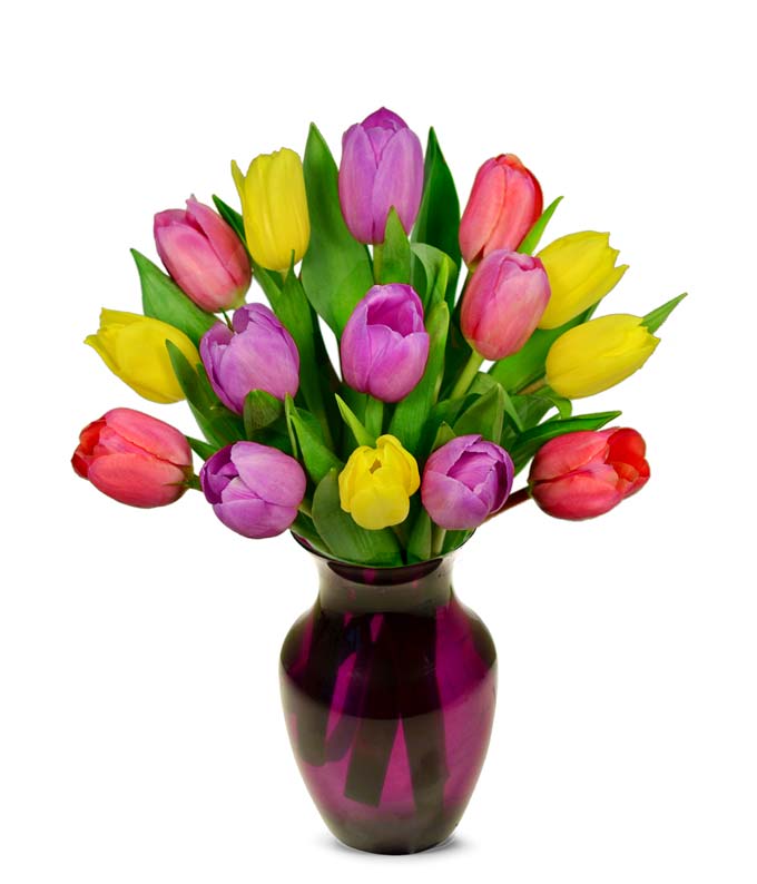 Sweetheart Tulip Bouquet - 15 Stems at From You Flowers