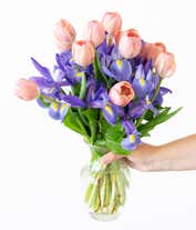 Alternative image 3 for Pink tulips delivered with blue iris flowers
