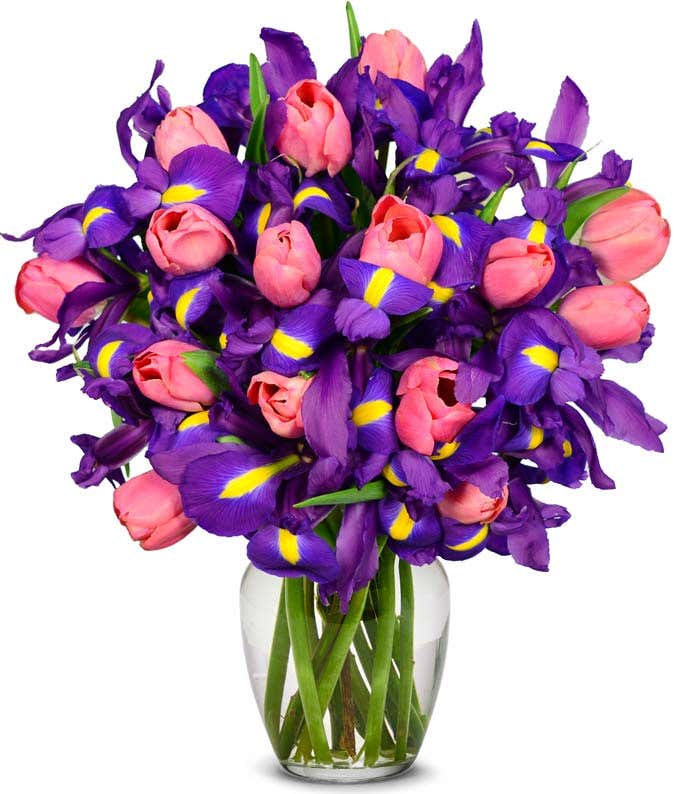 Pink tulips arranged with blue iris flowers for delivery