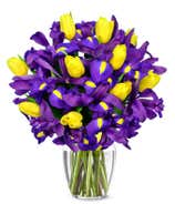 Sunny Tulip and Iris Bouquet