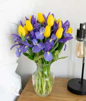 Alternative image 2 for Blue iris flowers arranged with yellow tulips for gift delivery