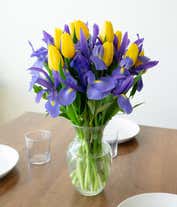 Alternative image 4 for Blue iris flowers arranged with yellow tulips for gift delivery