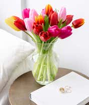 Alternative image 1 for 20 stems of tulips in red, orange, yellow and purple