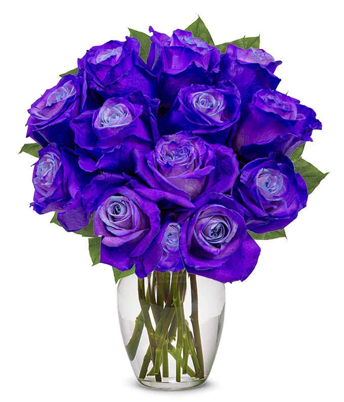 One Dozen Purple Roses in Clear Glass Vase