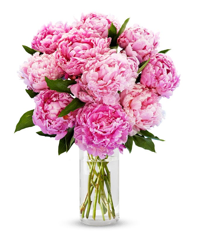 Pretty Pink Peonies at From You Flowers