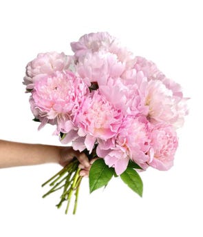 Pretty Pink Peonies - Deluxe at From You Flowers